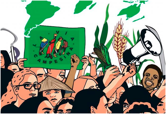 Formando em Movimento! Filme da Via Campesina retrata importância da formação